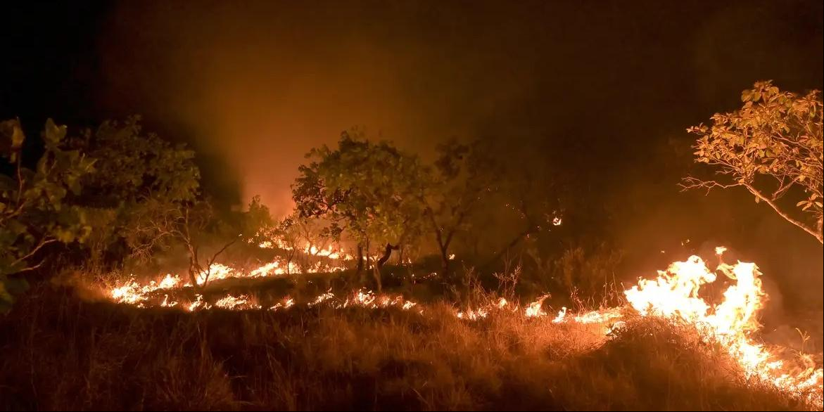 No ano ado, o país emitiu 2,3 bilhões de toneladas de gases do efeito estufa (JADER SOUZA/AL RORAIMA)