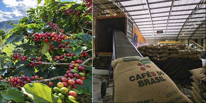 Agro tem se valorizado cada vez mais em Minas (Diego Vargas / Seapa)