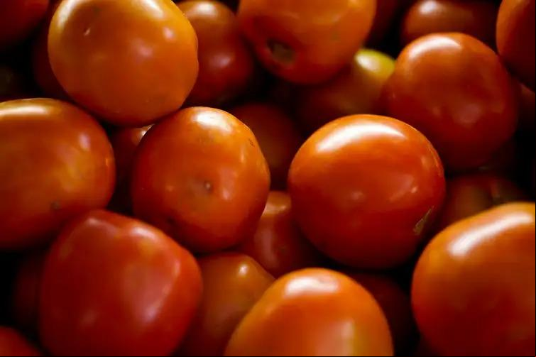 Tomate subiu 22,55% com um impacto de 0,05 ponto percentual na inflação (Elza Fiúza/Agência Brasil)