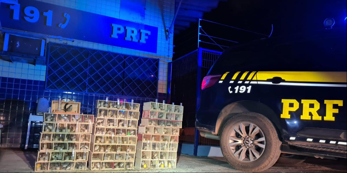  (Divulgação / PRF)