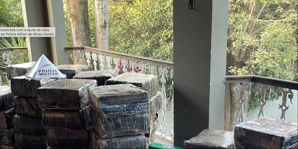 PM faz operação e apreende uma tonelada de maconha em mansão na Pampulha, região Norte da capital (PMMG Divulgação)